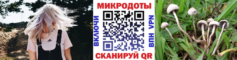 Галлюциногенные грибы GOLDEN TEACHER  Ветлуга 